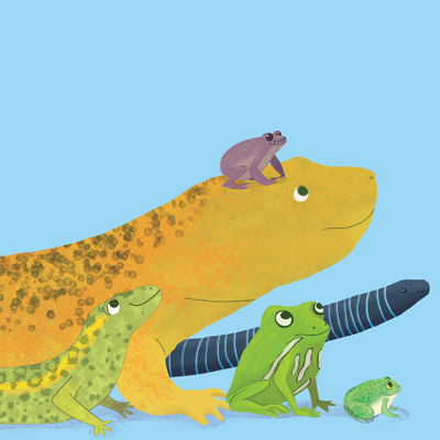 illustration of A group of Amphibians created for a book cover.