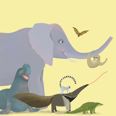 illustration of A group of mammals including an elephant, a pangolin, a sloth, a lemur and an anteater.