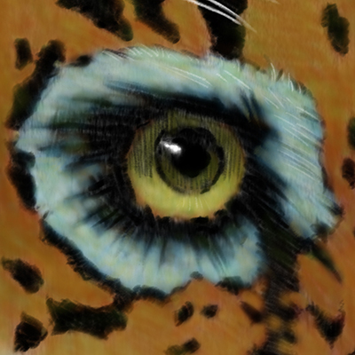 illustration of Eye the a Brazilian Jaguar, drawn in graphite and painting in Photoshop