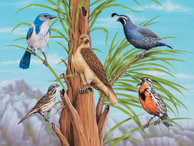 illustration of Illustration for Wild Republic animal children's puzzle.