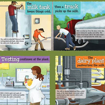 illustration of Complete poster with all the illustrated panels telling the story of how milk goes from 'Cow to Table.'